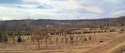 our nursery