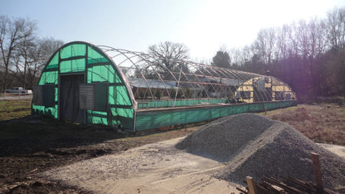 greenhouse