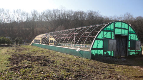 greenhouse